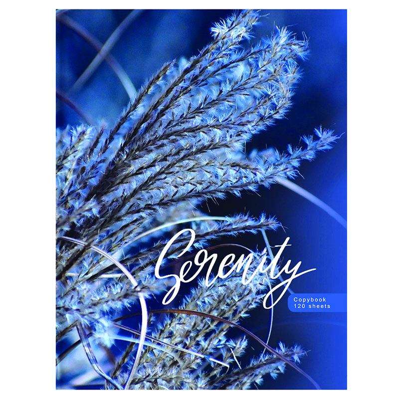 Тетрадь 120л. на кольцах, "Blue serenity" от интернет-магазина kancelyar.by