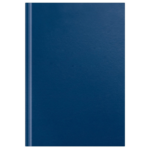 Книга учета А4 100л, Колор, клетка