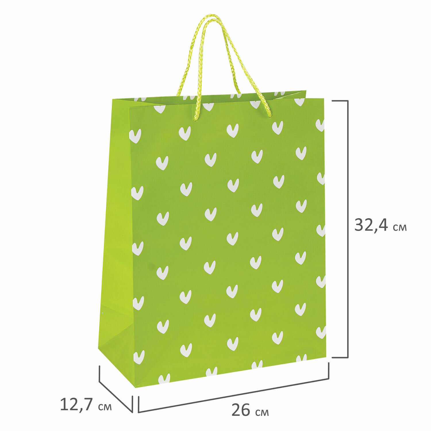Пакет подарочный, "Зеленый в галочку", бумажный от интернет-магазина kancelyar.by