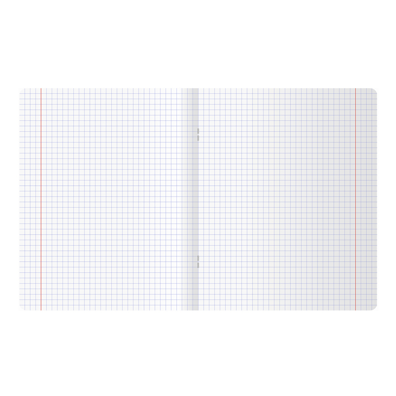 Тетрадь 48л. "Моноколор", клетка, BG