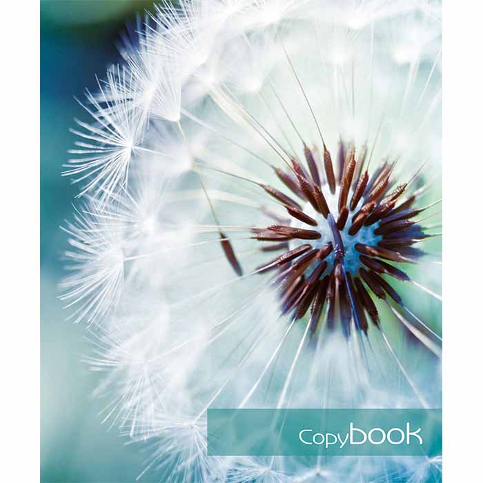 Тетрадь 48л. "Одуванчик", клетка, РБ