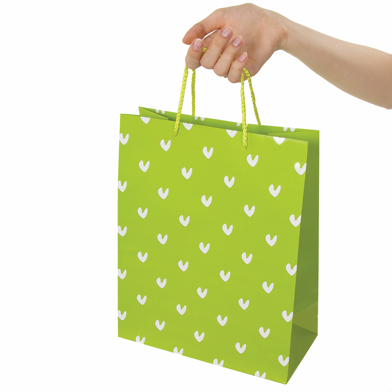 Пакет подарочный, "Зеленый в галочку", бумажный от интернет-магазина kancelyar.by
