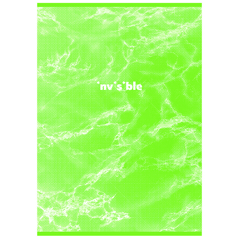 Тетрадь А4 80л, "Invisible", BG, клетка
