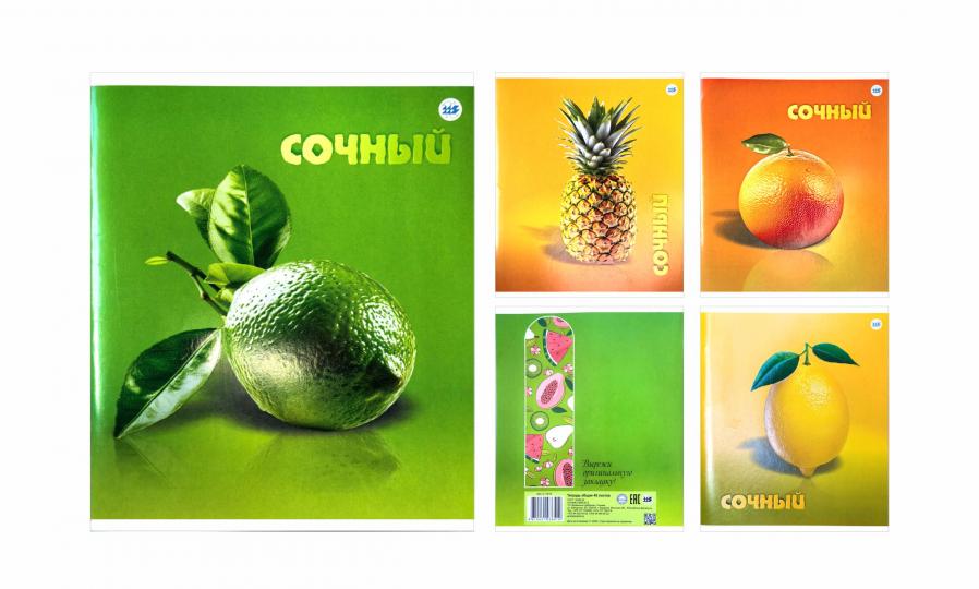 Тетрадь 48л. "Сочный", клетка, РБ от интернет-магазина kancelyar.by