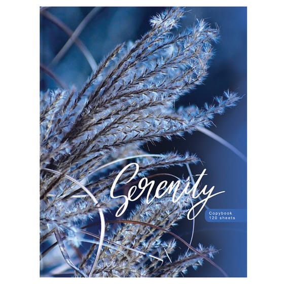 Тетрадь 120л. на кольцах, "Blue serenity" от интернет-магазина kancelyar.by