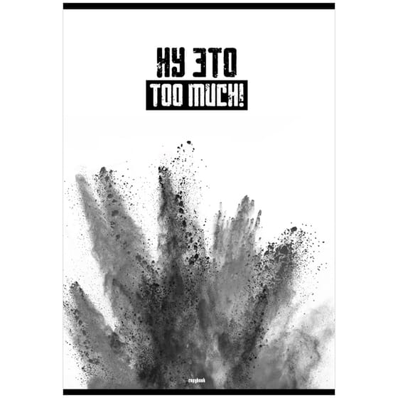 Тетрадь А4 80л, "Too much!", BG, клетка от интернет-магазина kancelyar.by