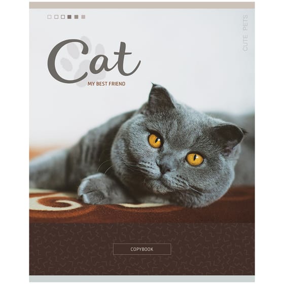 Тетрадь 48л. "Питомцы. Cute pets", клетка от интернет-магазина kancelyar.by