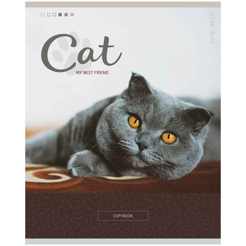 Тетрадь 48л. "Питомцы. Cute pets", клетка от интернет-магазина kancelyar.by