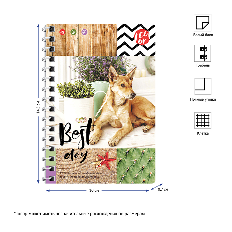 Блокнот А6 80л. "Питомцы. Best day", спираль